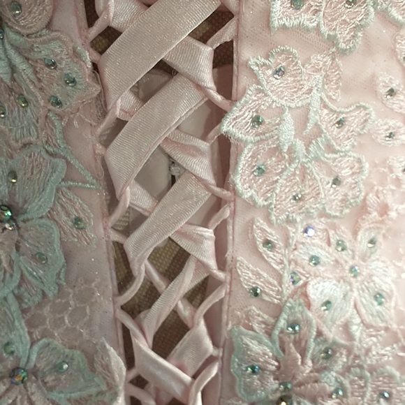 Quinceanera or Prom gown pink with feathers corset back - Picture 9 of 10